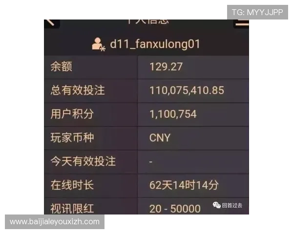 全面解析ag百家乐预测方法与策略，助你在游戏中实现稳健盈利的实用建议